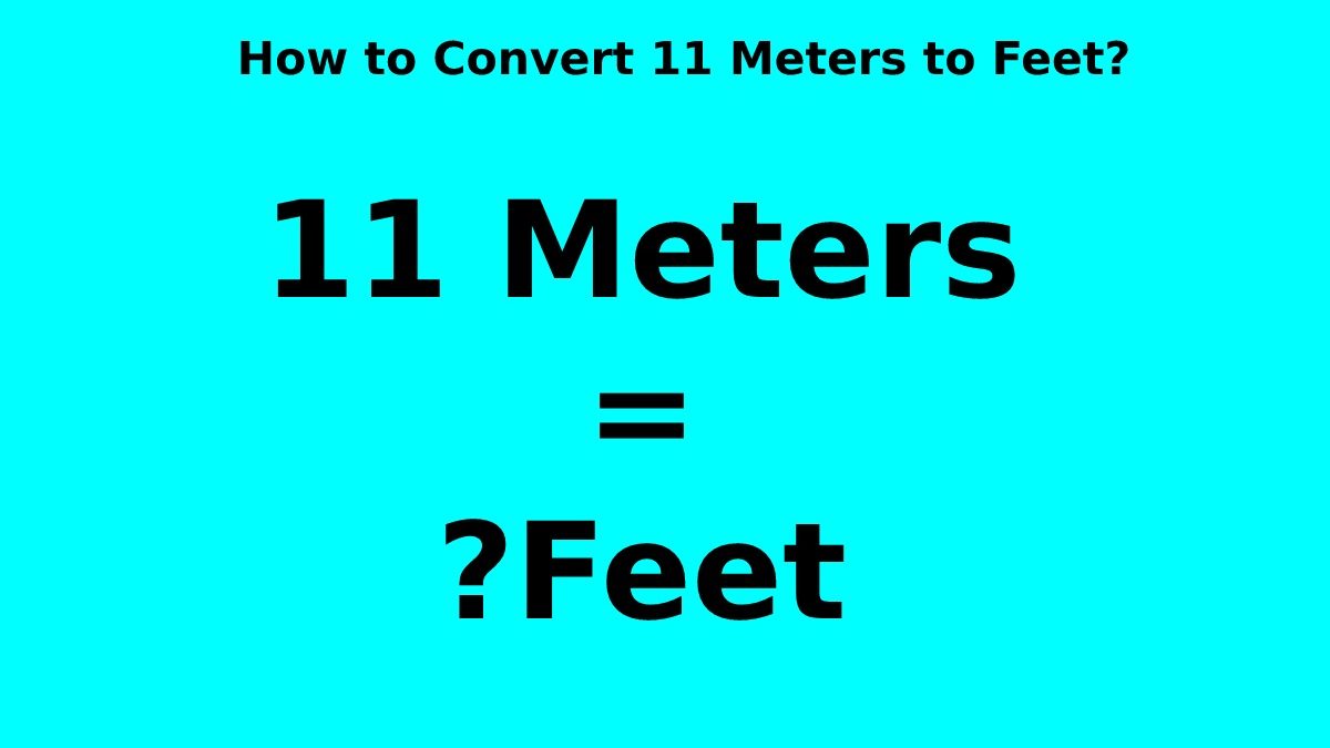 How to Convert 11 Meters to Feet? [2023]