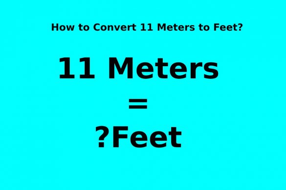 11 Meters To Feet