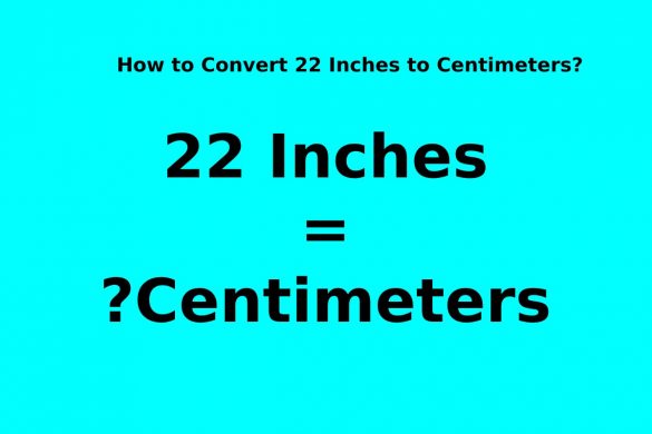 22 Inches to Centimeters