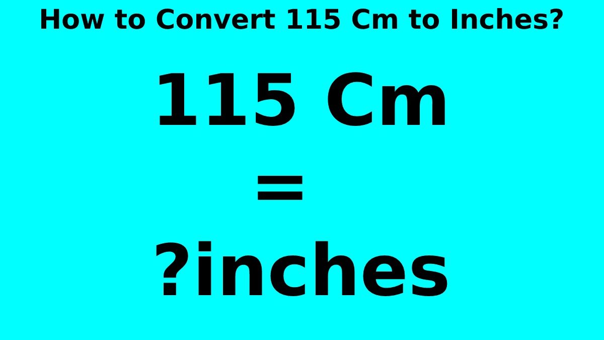 How to Convert 115 Cm to Inches? [2023]
