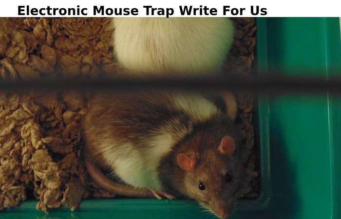 electric mouse trap