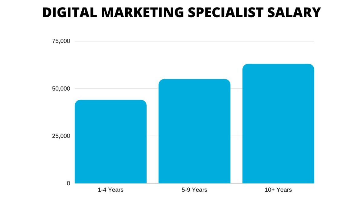 Digital Marketing Salary: How Much do you Earn in Marketing?