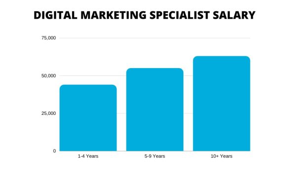 Digital Marketing Salary: How Much do you Earn in Marketing?